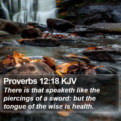Proverbs 12:18 KJV Bible Verse Image