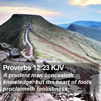 Proverbs 12:23 KJV Bible Verse Image