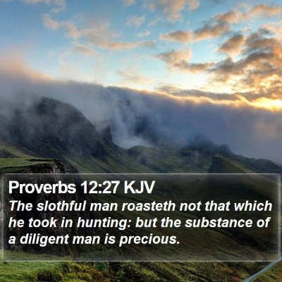 Proverbs 12:27 KJV Bible Verse Image
