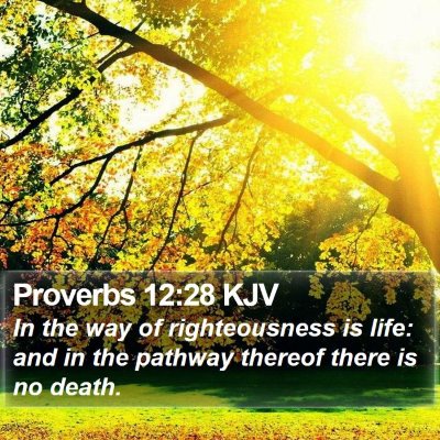 Proverbs 12:28 KJV Bible Verse Image