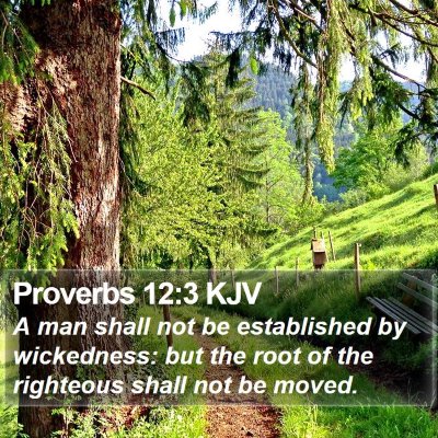 Proverbs 12:3 KJV Bible Verse Image