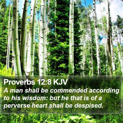 Proverbs 12:8 KJV Bible Verse Image