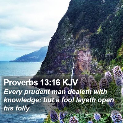 Proverbs 13:16 KJV Bible Verse Image