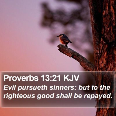 Proverbs 13:21 KJV Bible Verse Image