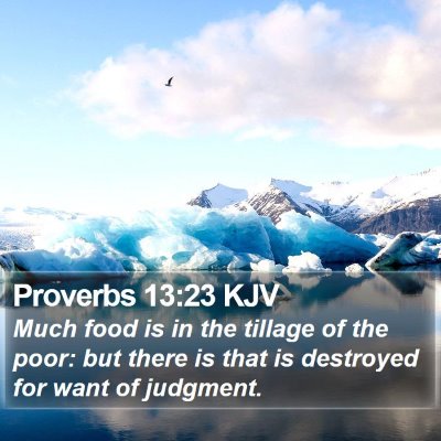 Proverbs 13:23 KJV Bible Verse Image
