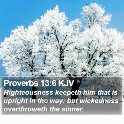 Proverbs 13:6 KJV Bible Verse Image