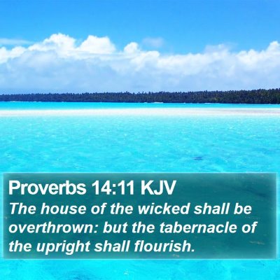 Proverbs 14:11 KJV Bible Verse Image