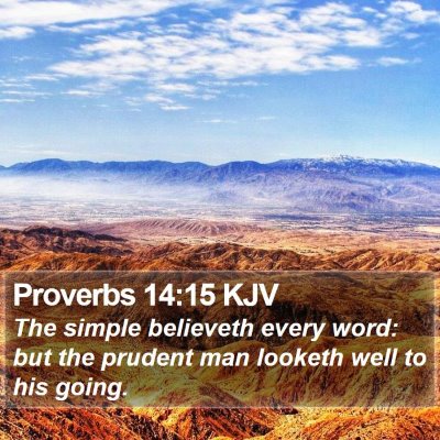Proverbs 14:15 KJV Bible Verse Image