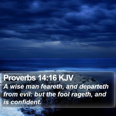 Proverbs 14:16 KJV Bible Verse Image