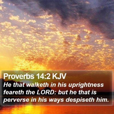 Proverbs 14:2 KJV Bible Verse Image