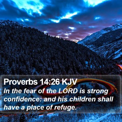 Proverbs 14:26 KJV Bible Verse Image