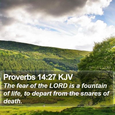 Proverbs 14:27 KJV Bible Verse Image