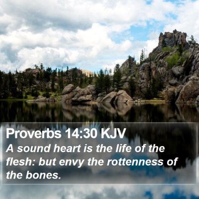 Proverbs 14:30 KJV Bible Verse Image