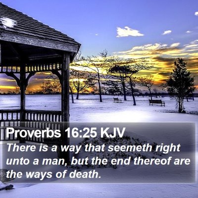 Proverbs 16:25 KJV Bible Verse Image