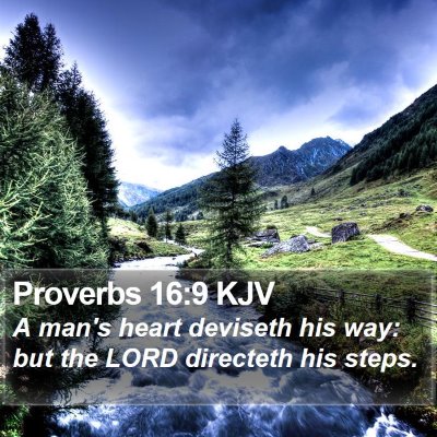Proverbs 16:9 KJV Bible Verse Image