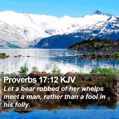 Proverbs 17:12 KJV Bible Verse Image
