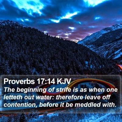 Proverbs 17:14 KJV Bible Verse Image
