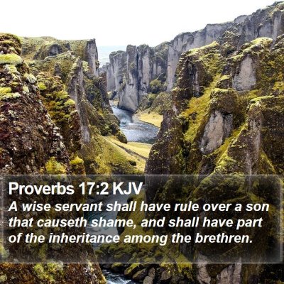Proverbs 17:2 KJV Bible Verse Image