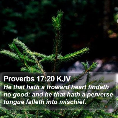 Proverbs 17:20 KJV Bible Verse Image