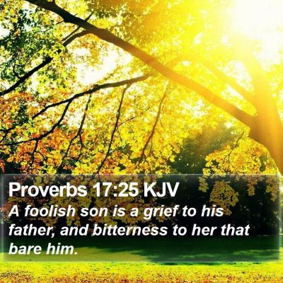Proverbs 17:25 KJV Bible Verse Image