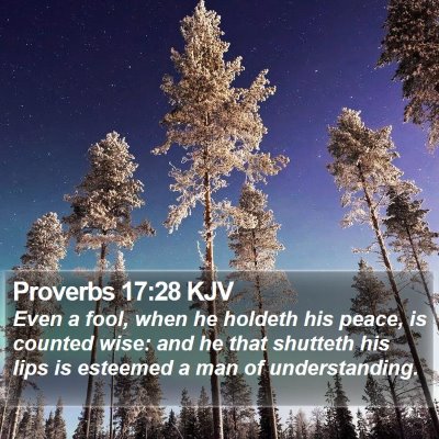 Proverbs 17:28 KJV Bible Verse Image