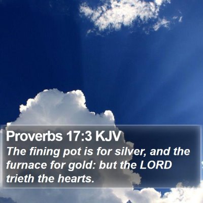Proverbs 17:3 KJV Bible Verse Image
