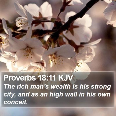 Proverbs 18:11 KJV Bible Verse Image