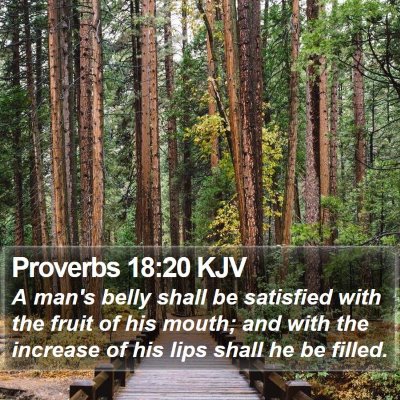 Proverbs 18:20 KJV Bible Verse Image