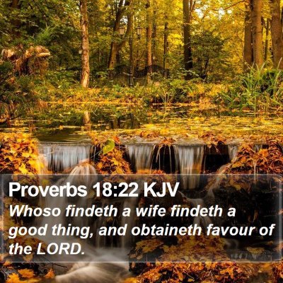 Proverbs 18:22 KJV Bible Verse Image
