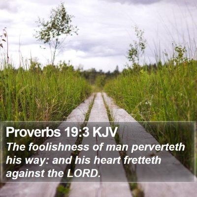 Proverbs 19:3 KJV Bible Verse Image