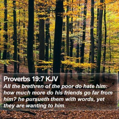 Proverbs 19:7 KJV Bible Verse Image