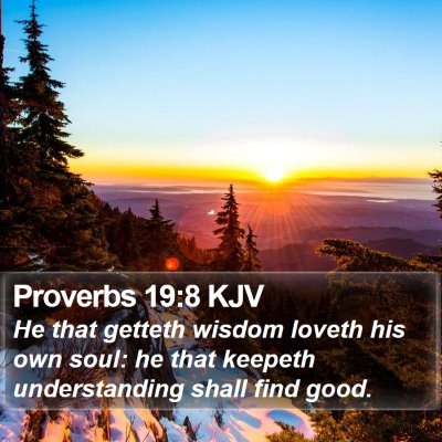 Proverbs 19:8 KJV Bible Verse Image
