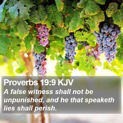 Proverbs 19:9 KJV Bible Verse Image