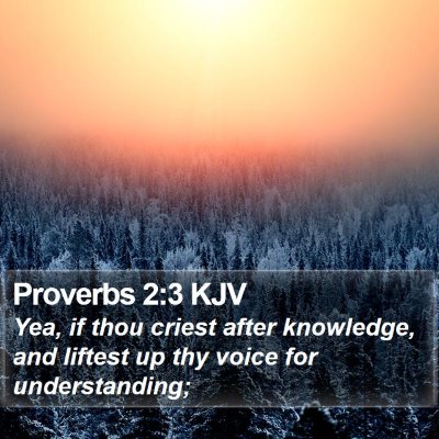 Proverbs 2:3 KJV Bible Verse Image