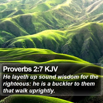 Proverbs 2:7 KJV Bible Verse Image