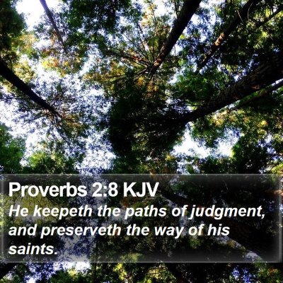 Proverbs 2:8 KJV Bible Verse Image