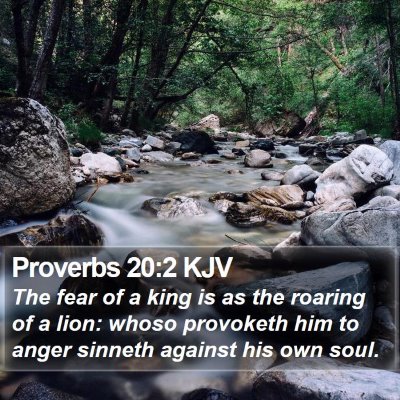 Proverbs 20:2 KJV Bible Verse Image