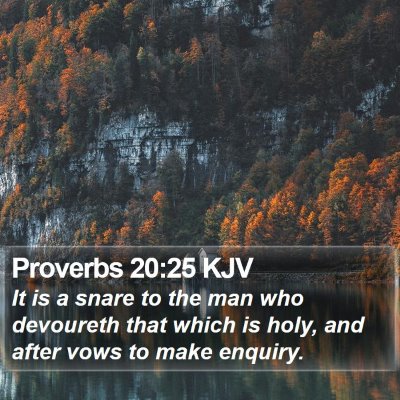 Proverbs 20:25 KJV Bible Verse Image
