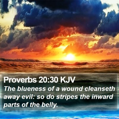 Proverbs 20:30 KJV Bible Verse Image