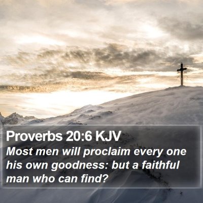 Proverbs 20:6 KJV Bible Verse Image