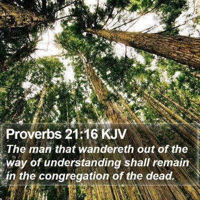 Proverbs 21:16 KJV Bible Verse Image