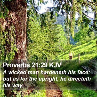 Proverbs 21:29 KJV Bible Verse Image