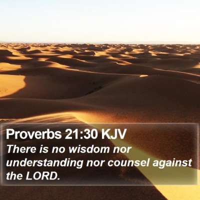 Proverbs 21:30 KJV Bible Verse Image