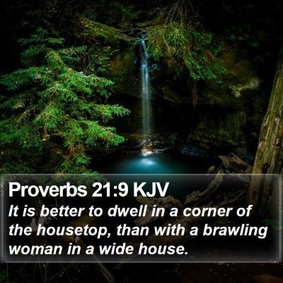 Proverbs 21:9 KJV Bible Verse Image