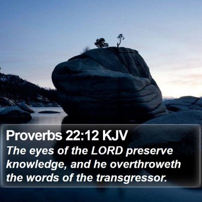 Proverbs 22:12 KJV Bible Verse Image