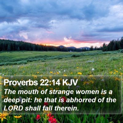 Proverbs 22:14 KJV Bible Verse Image