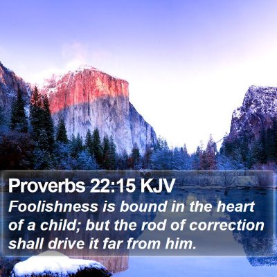 Proverbs 22:15 KJV Bible Verse Image