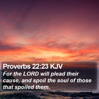Proverbs 22:23 KJV Bible Verse Image