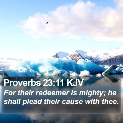Proverbs 23:11 KJV Bible Verse Image