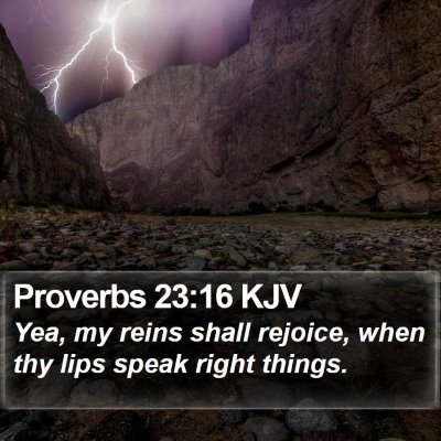 Proverbs 23:16 KJV Bible Verse Image